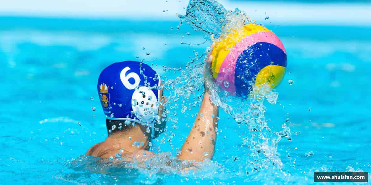 解读完美体育官方网站